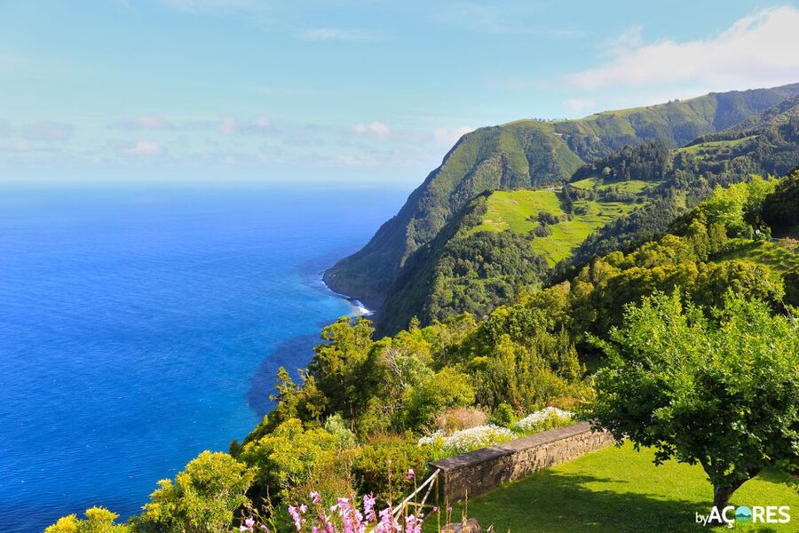 São Miguel: Nordeste, Cliffs & Waterfall Day Trip with Lunch - What the guide adds to the day