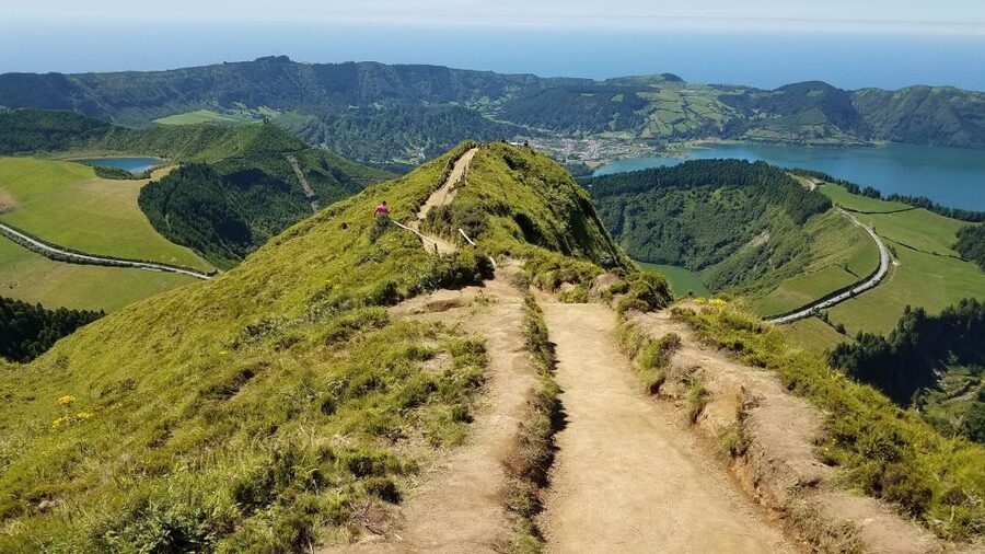 São Miguel: Sete Cidades and Lagoa do Fogo Full-Day Tour - Pineapple greenhouses and Pico do Carvão