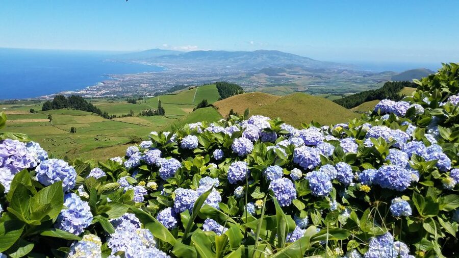 São Miguel: Sete Cidades and Lagoa do Fogo Full-Day Tour - Lunch with local choices and included drinks