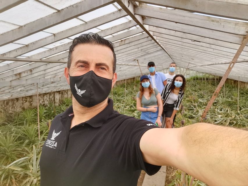 São Miguel West: Sete Cidades and Fogo Tour with Lunch - Who should book this São Miguel day tour?