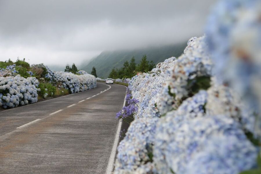 São Miguel West: Sete Cidades and Fogo Tour with Lunch - Pineapple greenhouses and the island’s everyday character