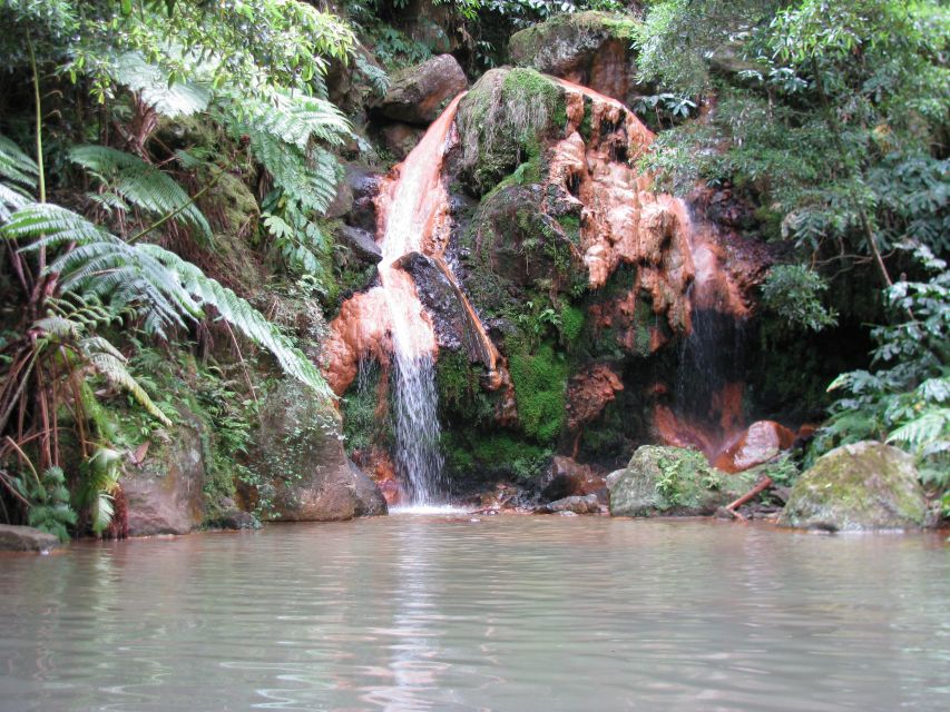 São Miguel: Whales & Volcano Full-Day Tour with Lunch - Is $182 a fair price?