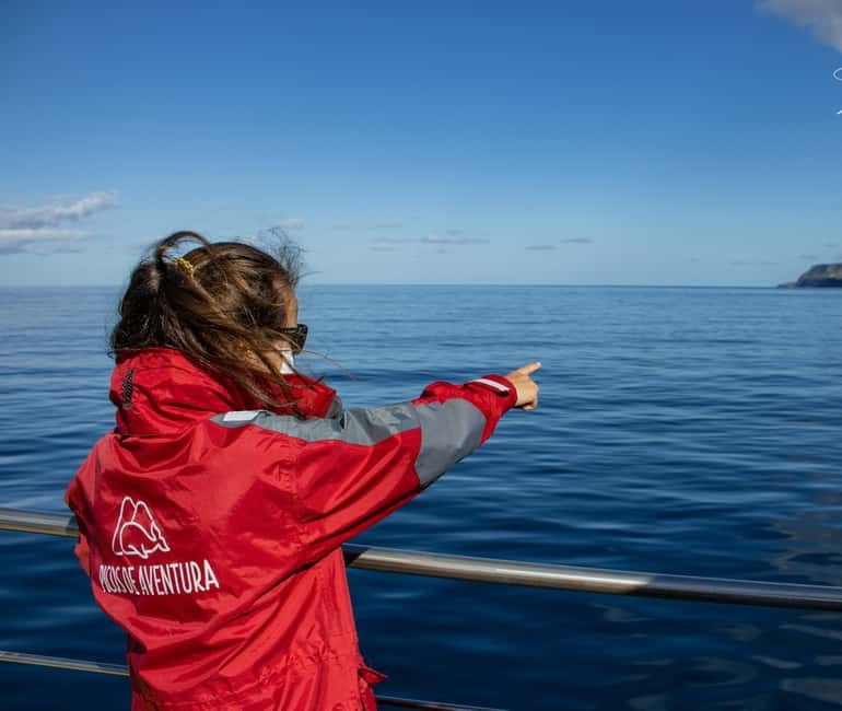 São Miguel: Wild Swimming with Dolphins - What to bring and what you may receive