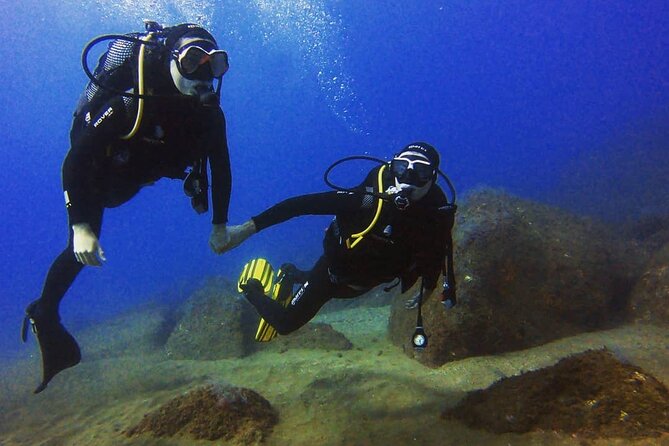Scuba Diving Experience in Madeira - What the $50.81 price really covers
