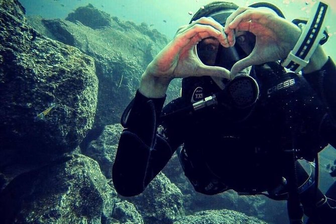 Scuba Diving Experience in Madeira - Timing, meeting point, and practical planning