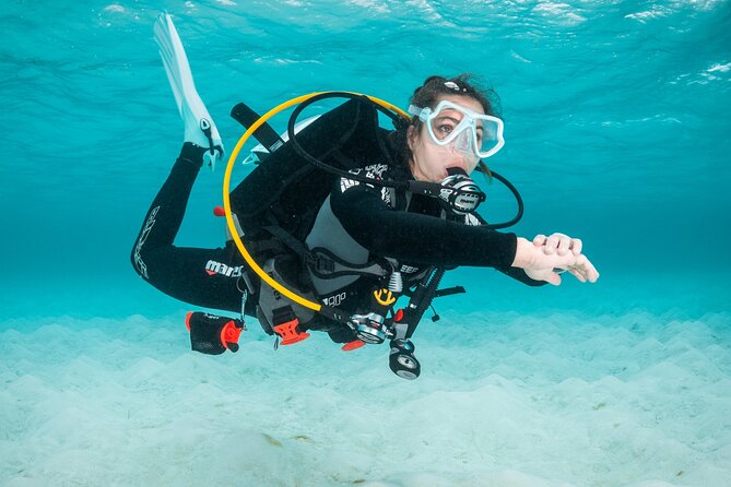 Scuba Diving Experience in Madeira - Fish, crabs, eels, and Madeira’s underwater life