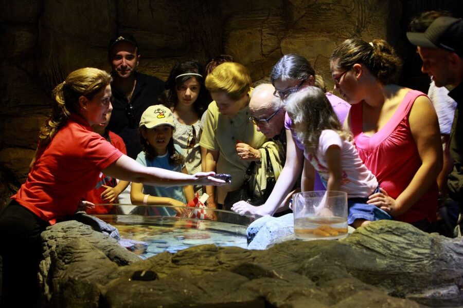 SEA LIFE Porto Full-Day Entrance Ticket - Who will enjoy this most?