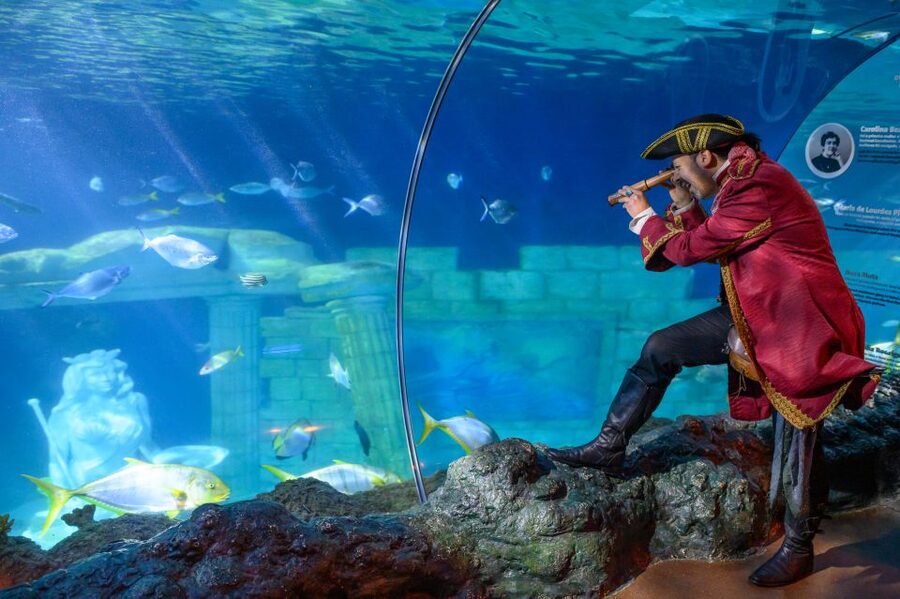 SEA LIFE Porto Full-Day Entrance Ticket - Penguin Island brings a new feature