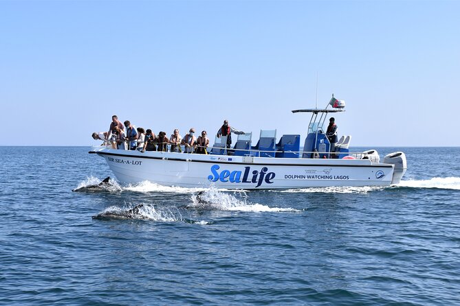 Sealife Sea Safari, Dolphin Watching with Marine Biologist's Lagos - Searching the Atlantic from Lagos Marina