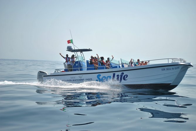 Sealife Sea Safari, Dolphin Watching with Marine Biologist's Lagos - A marine biologist changes the experience