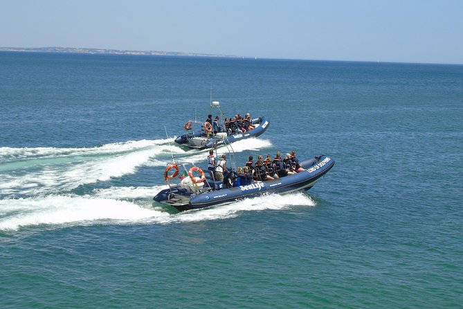 Sealife Sea Safari, Dolphin Watching with Marine Biologist's Lagos - More than dolphins, when the sea allows