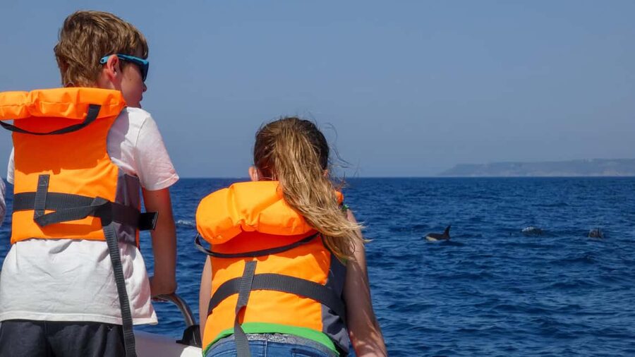 Sesimbra: Arrábida Dolphin Watching Boat Tour with Biologist - Ribeiro do Cavalo Beach and time in the water