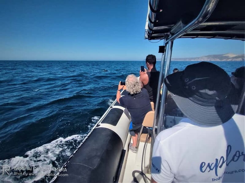 Sesimbra: Dolphin Watching Boat Tour with Biologist Guide - Check-in at Sesimbra Marina