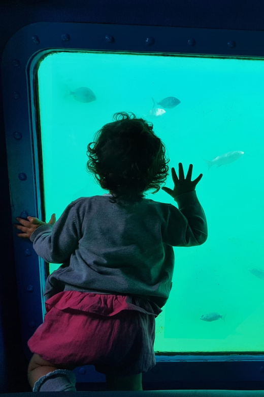 Sesimbra: Family Friendly Boat Sea Tour w/ Submarine Vision - Seeing Sesimbra from the water