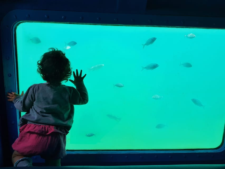 Sesimbra: Family Friendly Boat Sea Tour w/ Submarine Vision - Mula Bay, the cave, and Friar’s Rock