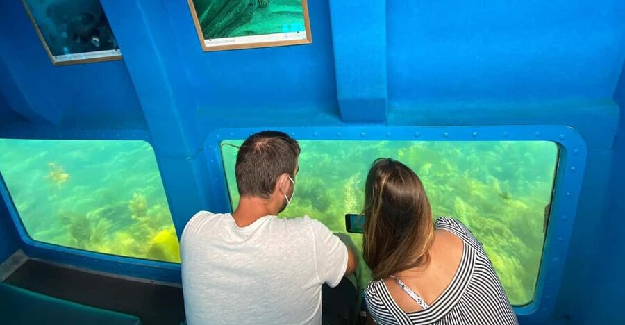 Sesimbra: Family Friendly Boat Sea Tour w/ Submarine Vision - APNEA’s underwater windows are the main attraction
