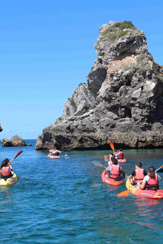 Sesimbra: Ribeiro Cavalo Beach, Caves, & Arrábida Kayak Tour - What the Guides Add to the Trip