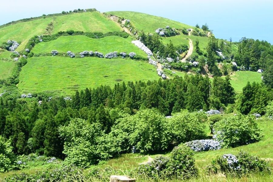 Sete Cidades Azores 4x4 Day Tour from Ponta Delgada - Mosteiros brings black basalt and ocean air
