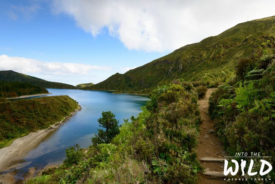 Sete Cidades & Lagoa do Fogo - Full-Day Tour - Grota do Inferno and the best Sete Cidades viewpoints
