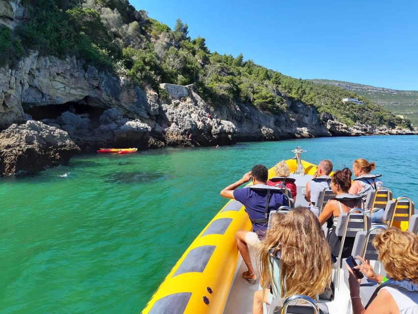 Setúbal and Tróia: Dolphin Watching and Arrábida Bays - Should you book the Sado dolphin and Arrábida tour?