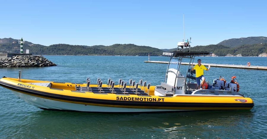 Setúbal and Tróia: Dolphin Watching and Arrábida Bays - Comfort, safety, and who should book