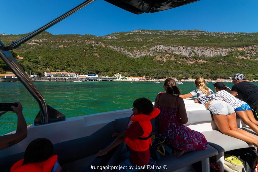 Setúbal: Dolphin-Watching Boat Tour - Searching for Bottlenose and Common Dolphins