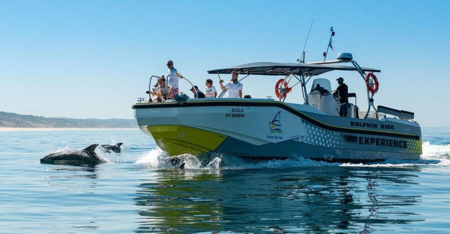 Setúbal: Dolphin-Watching Boat Tour - Should You Book the Setúbal Dolphin Tour?