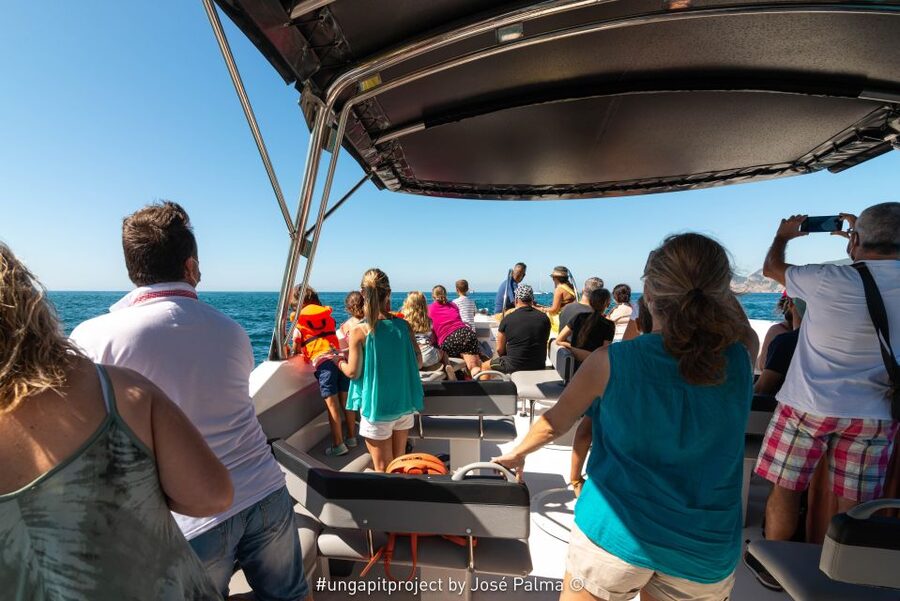 Setúbal: Dolphin-Watching Boat Tour - FAQ