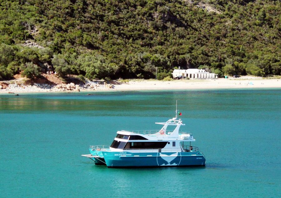 Setúbal: Dolphin Watching Tour - Leaving Setúbal from the yellow clock tower