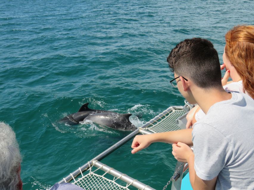 Setúbal: Dolphin Watching Tour - Why the dolphin policy matters