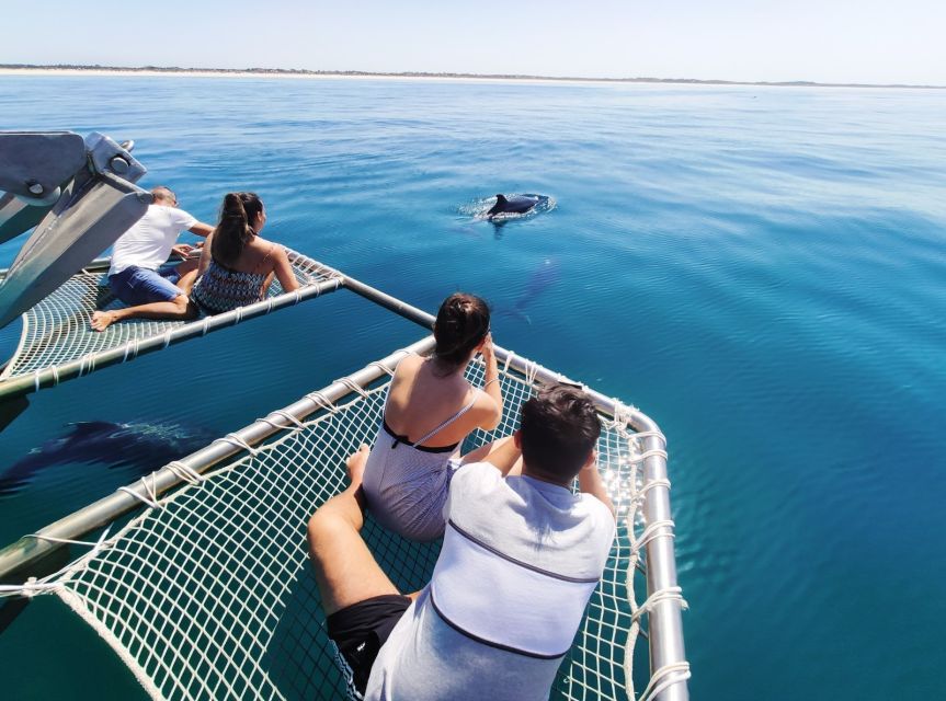 Setúbal: Dolphin Watching Tour - Should you book the Setúbal dolphin tour?