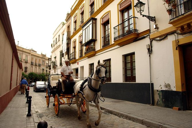 Seville Day Trip from the Algarve - Group size, guide quality, and the return journey