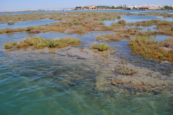 Short boat trip of the Algarve's Ria Formosa lagoon from Faro: 1 hour - The guides shape the experience