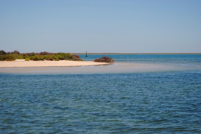 Short boat trip of the Algarve's Ria Formosa lagoon from Faro: 1 hour - Wildlife, marshes, and the role of the tide