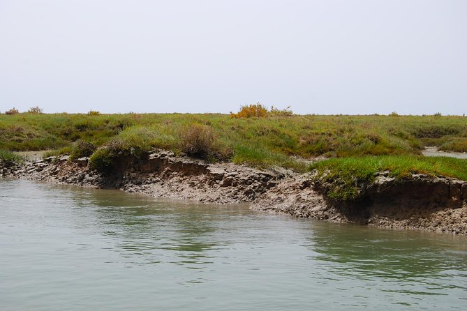 Short boat trip of the Algarve's Ria Formosa lagoon from Faro: 1 hour - Is $30.17 a fair price for one hour?