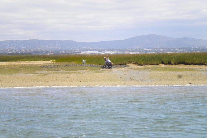 Short boat trip of the Algarve's Ria Formosa lagoon from Faro: 1 hour - Who will enjoy this trip most?