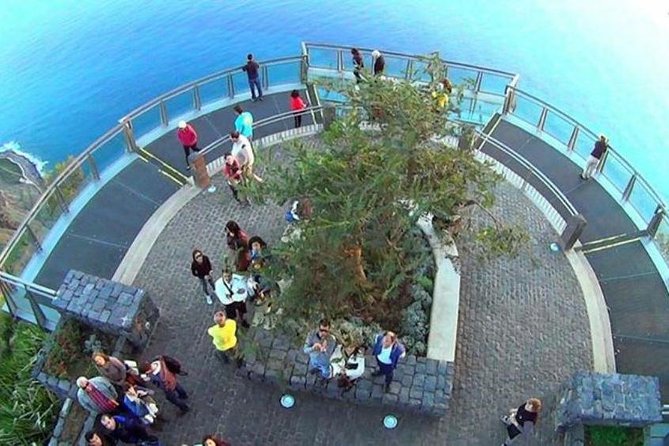Signature Wine Tastings, Skywalk, Nature 4x4 Open Roof Expedition - São Vicente, vineyards, and the first tasting