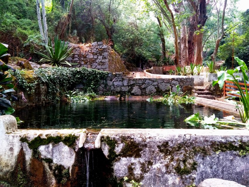 Silves, Caldas and Monchique Wine Tasting: Full Day Tour - The guide shapes the quality of the day