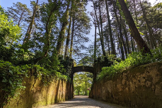 Sintra-Cascais-Pena Palace 8-People Small Group Tour from Lisbon - Who should book this excursion