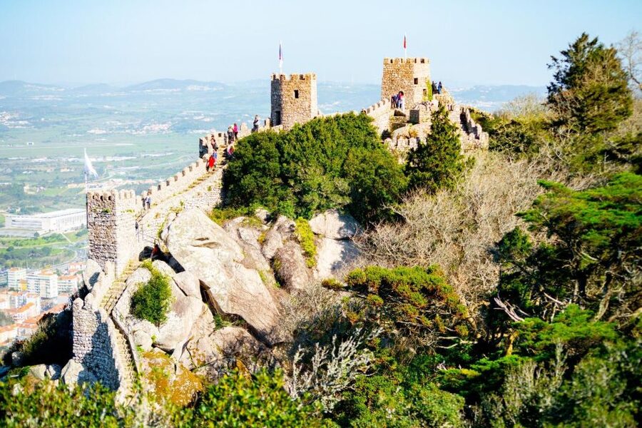 Sintra: Full-Day Private Tour & Pena Palace Entry Option - Who should book this Sintra tour?