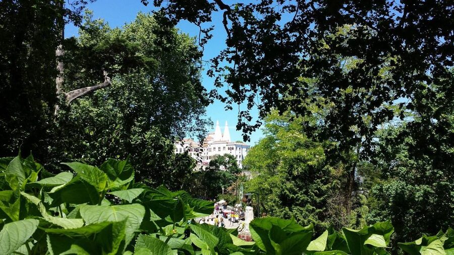 Sintra: Full-Day Tour from Lisbon with Wine Tasting - Key points at a glance