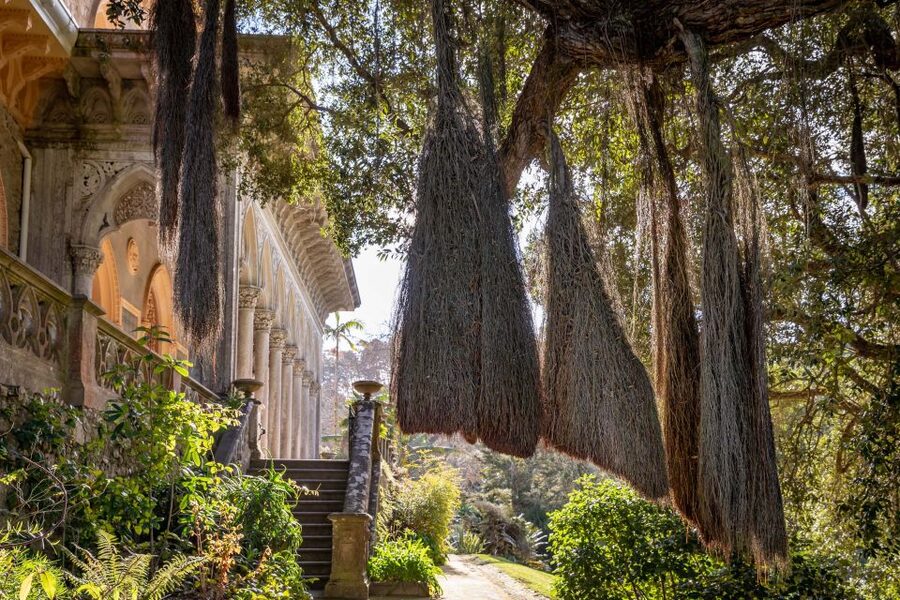 Sintra: Monserrate Palace & Park Ticket - Entering the 30-hectare park