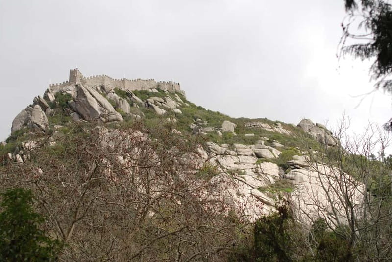 Sintra: Private Half-Day Classic Car or Electric Jeep Tour - The local guide makes the difference
