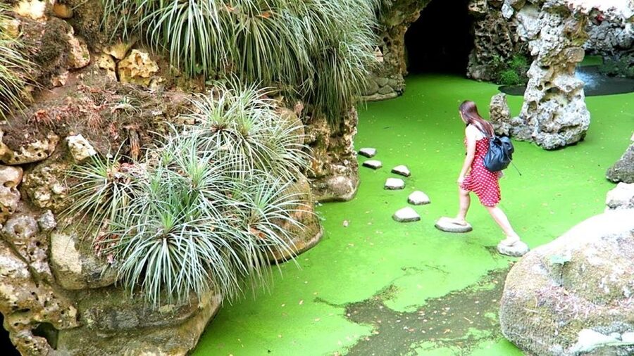 Sintra: Quinta da Regaleira Entry Ticket and Guided Tour - Descending into the Initiation Wells