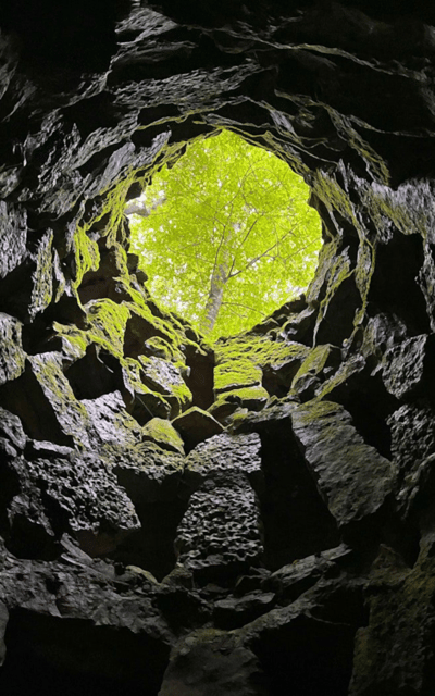 Sintra: Quinta da Regaleira Entry Tickets with Host - Lakes, grottoes, fountains, and benches