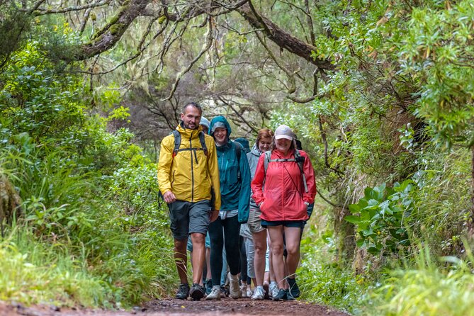 Skywalk 4x4 Experience and Rabacal 25 Fountains Levada Walk - Why this Madeira day works so well