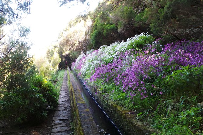 Skywalk 4x4 Experience and Rabacal 25 Fountains Levada Walk - The 4x4 section adds a different kind of Madeira