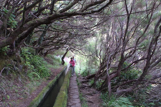 Skywalk 4x4 Experience and Rabacal 25 Fountains Levada Walk - Lunch at the local restaurant is optional but useful