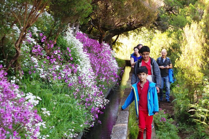 Skywalk 4x4 Experience and Rabacal 25 Fountains Levada Walk - Guides are a major part of the experience