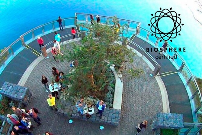 Skywalk, Amazing Views & Wine Tasting in Open Roof 4x4 Adventure - Why this 4x4 ride works well in Madeira